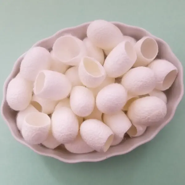 Silk Cocoon for facial treatment